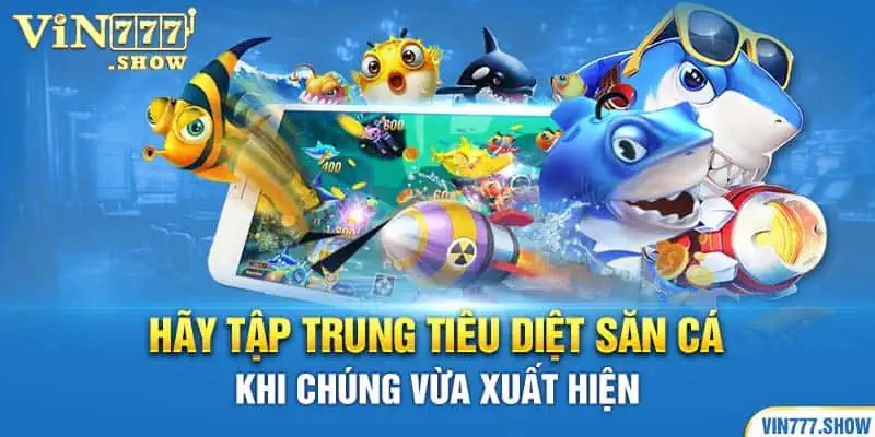 Hãy tập trung tiêu diệt săn cá khi chúng vừa xuất hiện 