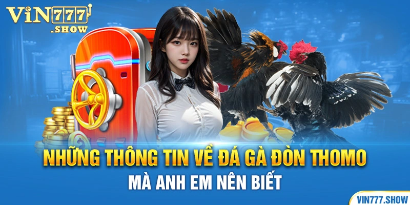 Những Thông Tin Về Đá Gà Đòn Thomo Mà Anh Em Nên Biết  