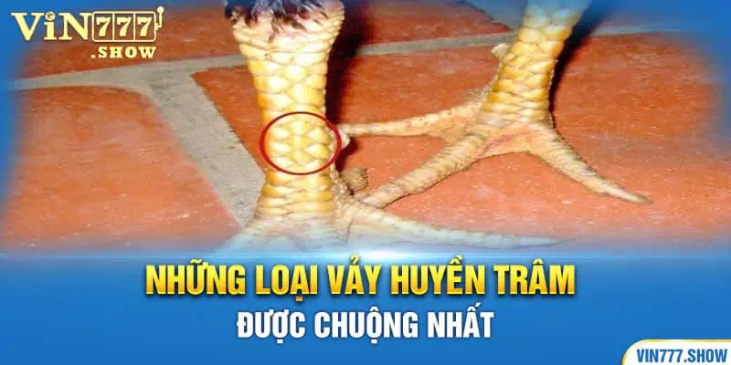 Những loại vảy Huyền Trâm được chuộng nhất