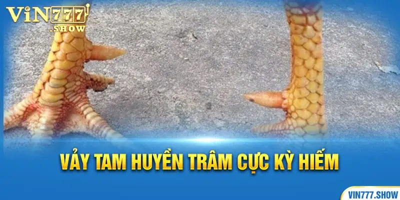 Vảy tam huyền trâm cực kỳ hiếm