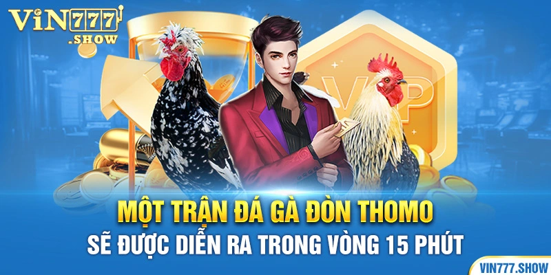 Một trận đá gà đòn Thomo sẽ được diễn ra trong vòng 15 phút 