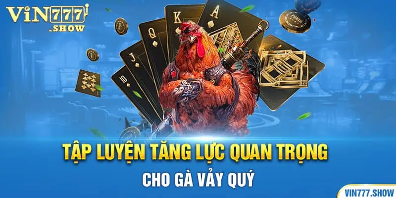 Chế độ ăn và nghỉ ngơi của gà vảy huyền châm