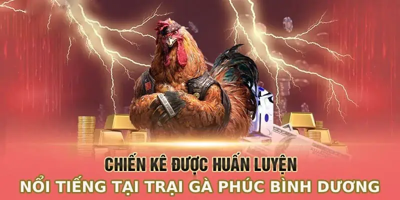 Điểm hấp dẫn của trại đá gà Phúc Bình Dương