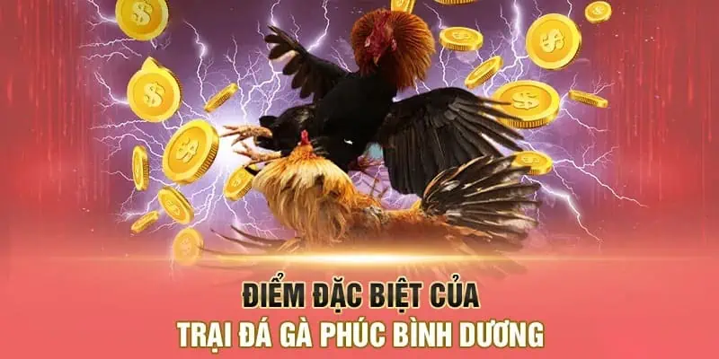 Đá Gà Phúc Bình Dương: Điểm Tụ Hội Sư Kê Chuyên Nghiệp