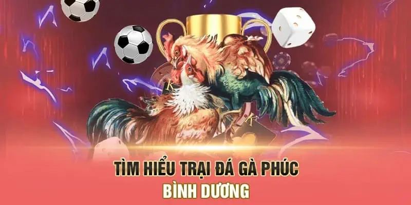 Tìm hiểu sơ lược về trại gà Phúc Bình Dương