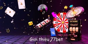 giới thiệu 77bet